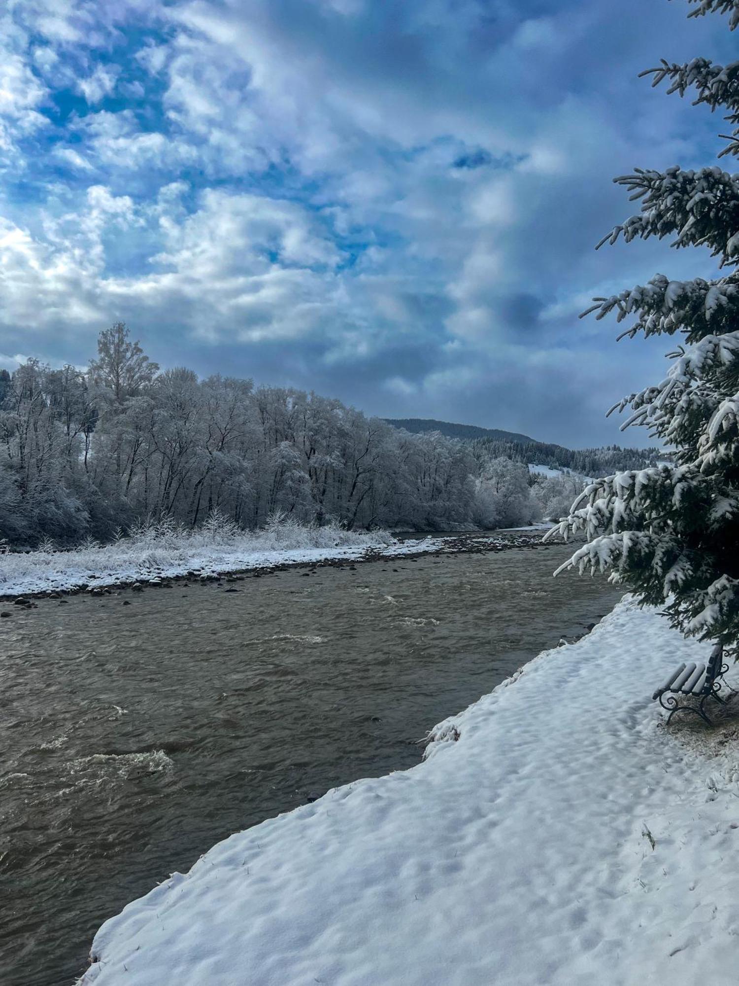 Котедж Шум Черемоша На Березі Річки Verkhovyna Extérieur photo